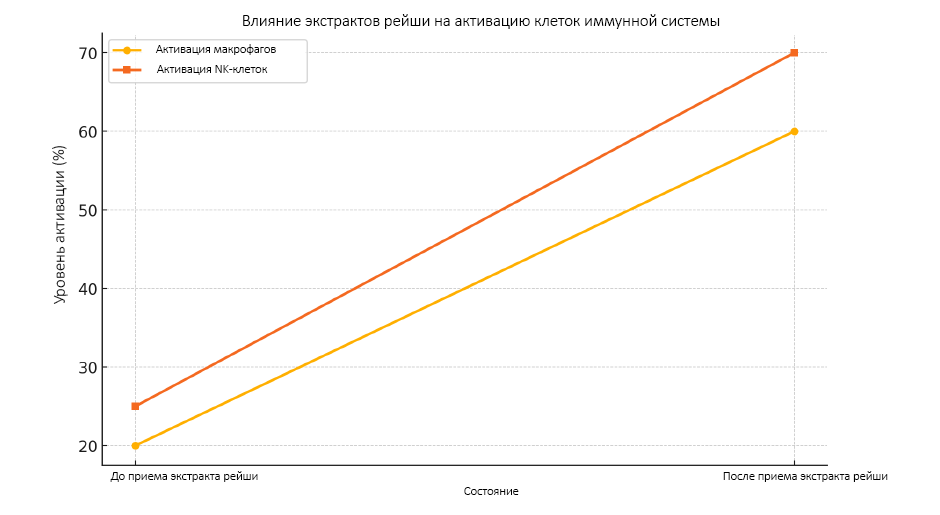 Схема влияния экстрактов рейши на активацию клеток иммунной системы